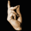 Rich_Kuzsma